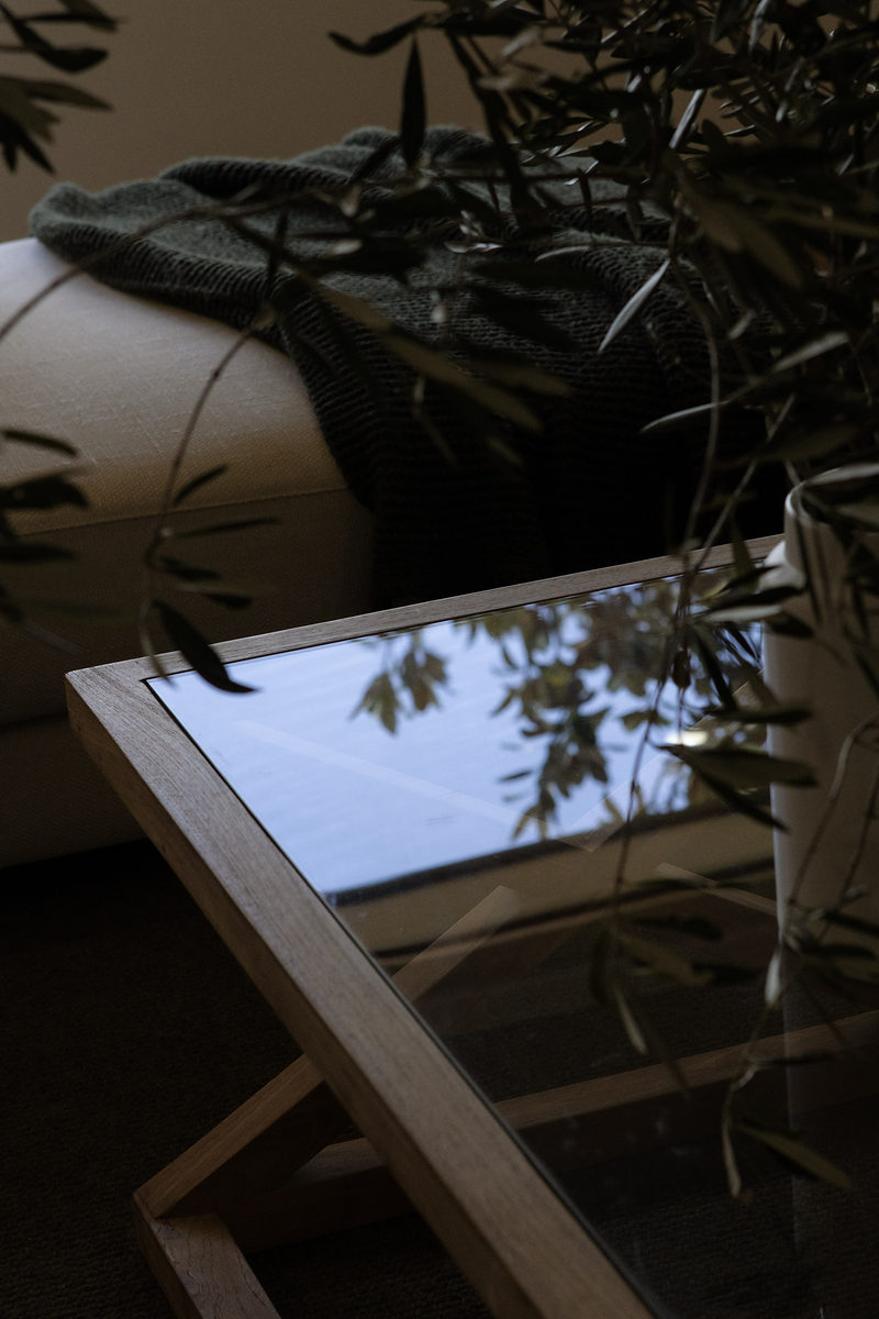 Glass table and plants in soft evening shadow