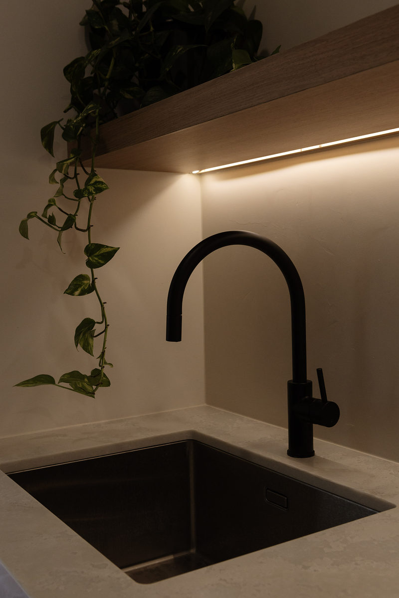 Black tapware and trailing plant above the kitchen sink