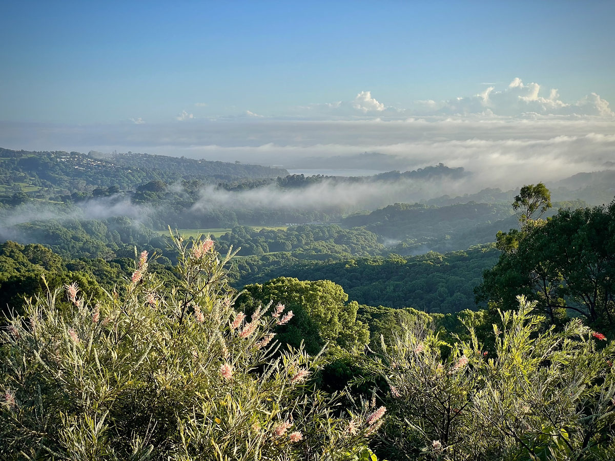 Morning mist rolling through the valley below the property